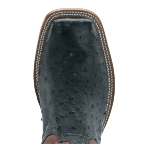 Men's Anderson Bean Black Full Quill Ostrich and Rust Lava Squar